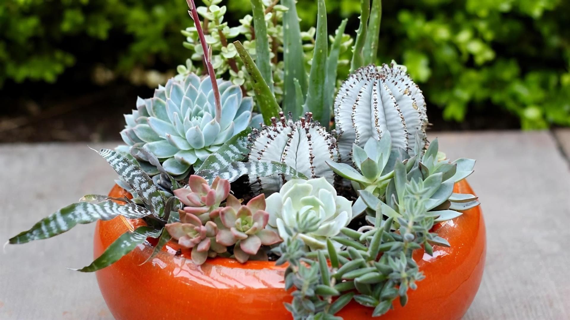 Servicio de entrega de flores a domicilio en Vigo